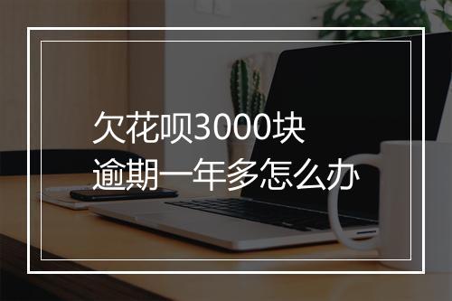 欠花呗3000块逾期一年多怎么办