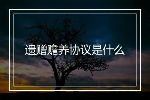遗赠赡养协议是什么