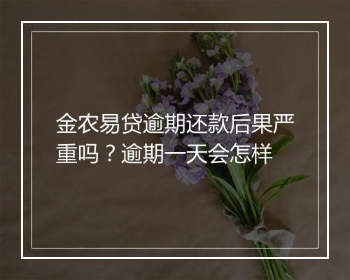 金农易贷逾期还款后果严重吗？逾期一天会怎样