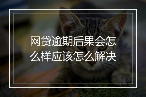 网贷逾期后果会怎么样应该怎么解决