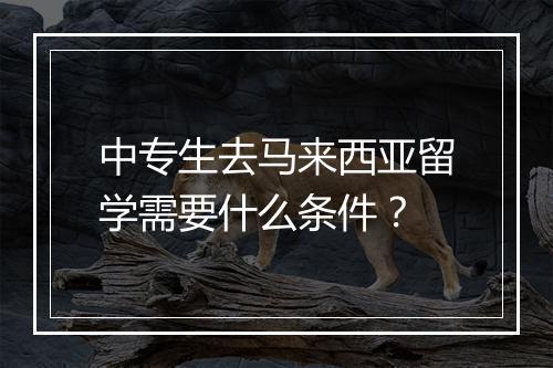 中专生去马来西亚留学需要什么条件？