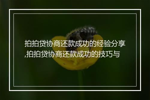 拍拍贷协商还款成功的经验分享,拍拍贷协商还款成功的技巧与