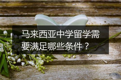 马来西亚中学留学需要满足哪些条件？
