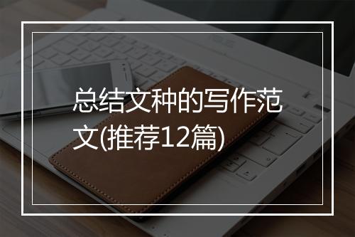 总结文种的写作范文(推荐12篇)