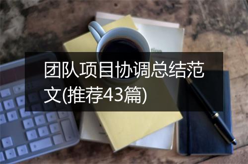 团队项目协调总结范文(推荐43篇)