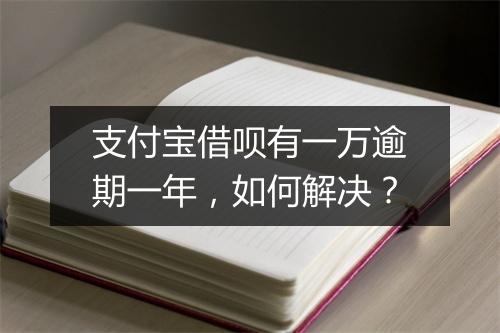 支付宝借呗有一万逾期一年，如何解决？