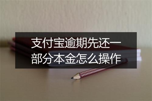 支付宝逾期先还一部分本金怎么操作