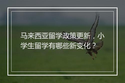 马来西亚留学政策更新，小学生留学有哪些新变化？