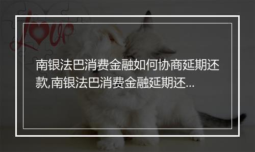 南银法巴消费金融如何协商延期还款,南银法巴消费金融延期还款流程解析