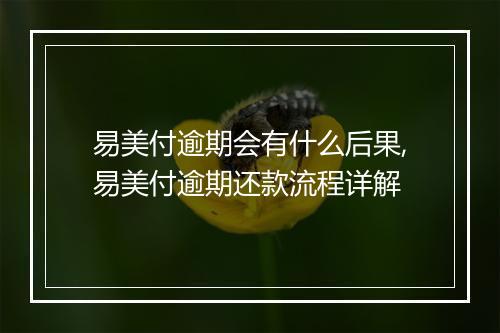 易美付逾期会有什么后果,易美付逾期还款流程详解
