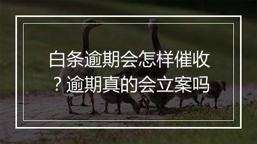 白条逾期会怎样催收？逾期真的会立案吗