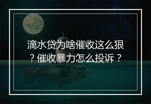 滴水贷为啥催收这么狠？催收暴力怎么投诉？