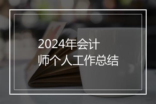 2024年会计师个人工作总结