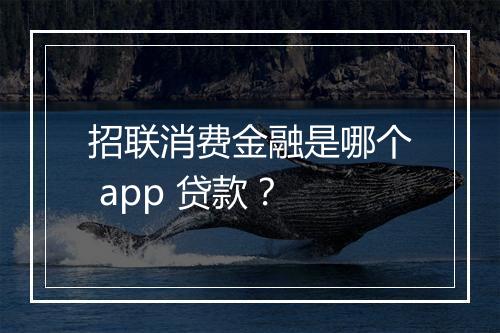 招联消费金融是哪个 app 贷款？