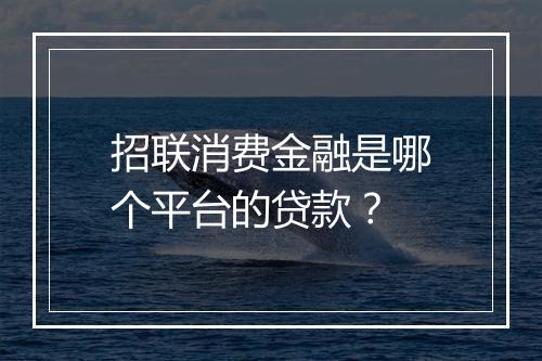 招联消费金融是哪个平台的贷款？