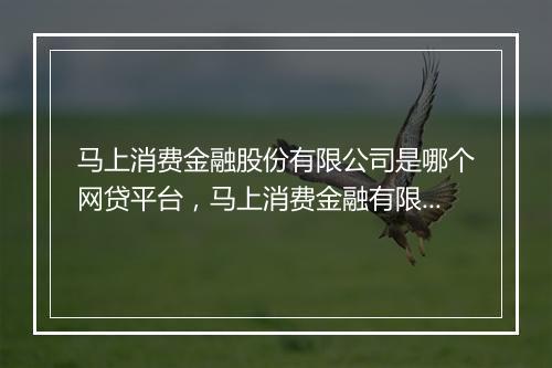 马上消费金融股份有限公司是哪个网贷平台，马上消费金融有限公司是哪个平台的