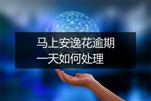 马上安逸花逾期一天如何处理
