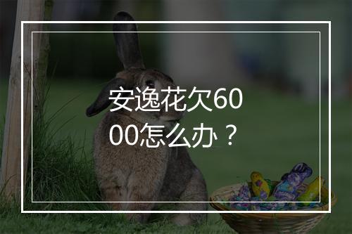 安逸花欠6000怎么办？