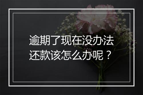 逾期了现在没办法还款该怎么办呢？