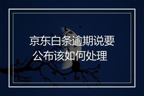 京东白条逾期说要 公布该如何处理
