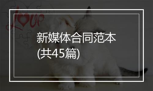 新媒体合同范本(共45篇)