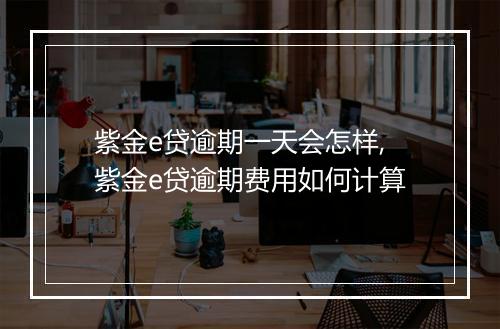 紫金e贷逾期一天会怎样,紫金e贷逾期费用如何计算