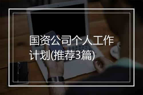 国资公司个人工作计划(推荐3篇)