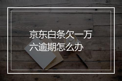 京东白条欠一万六逾期怎么办