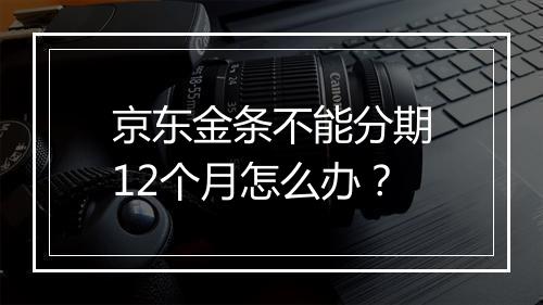 京东金条不能分期12个月怎么办？