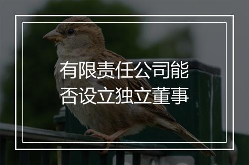 有限责任公司能否设立独立董事