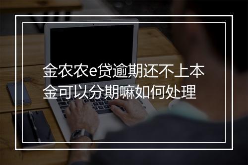 金农农e贷逾期还不上本金可以分期嘛如何处理