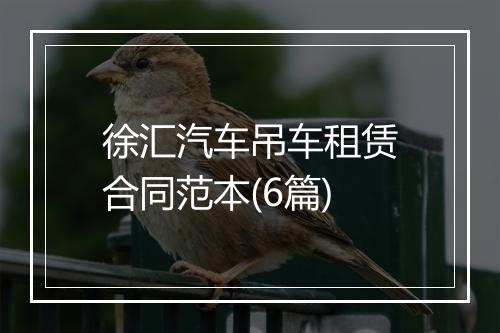 徐汇汽车吊车租赁合同范本(6篇)