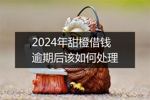 2024年甜橙借钱逾期后该如何处理