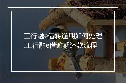 工行融e借转逾期如何处理,工行融e借逾期还款流程