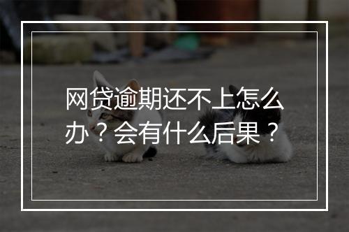 网贷逾期还不上怎么办？会有什么后果？