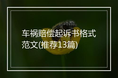 车祸赔偿起诉书格式范文(推荐13篇)