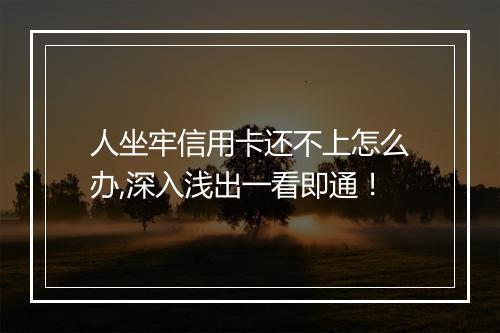 人坐牢信用卡还不上怎么办,深入浅出一看即通！