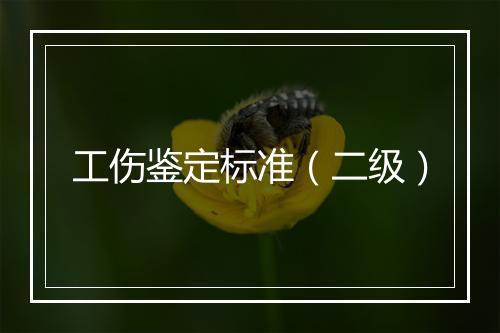工伤鉴定标准（二级）