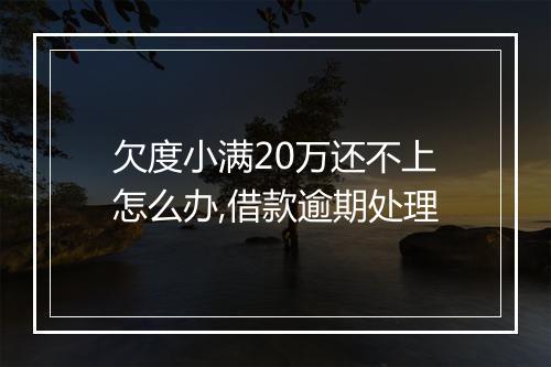 欠度小满20万还不上怎么办,借款逾期处理