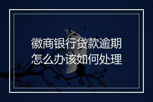 徽商银行贷款逾期怎么办该如何处理
