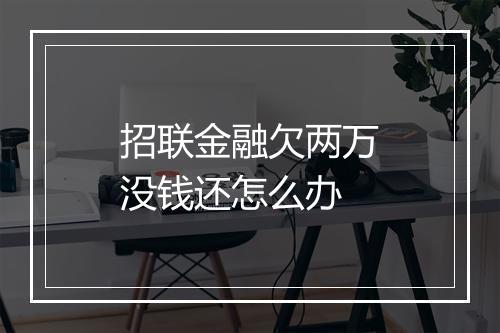 招联金融欠两万没钱还怎么办