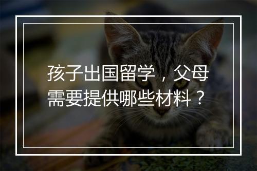 孩子出国留学，父母需要提供哪些材料？