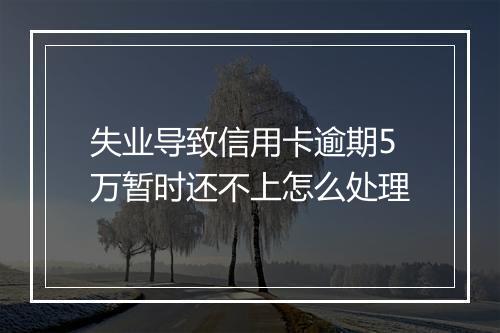 失业导致信用卡逾期5万暂时还不上怎么处理
