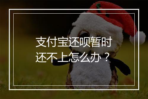 支付宝还呗暂时还不上怎么办？