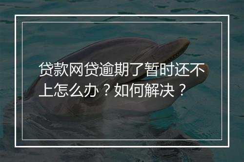 贷款网贷逾期了暂时还不上怎么办？如何解决？