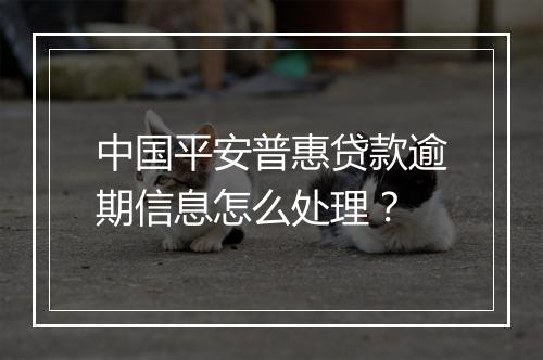中国平安普惠贷款逾期信息怎么处理？