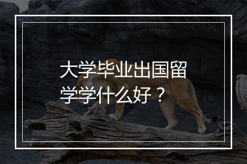 大学毕业出国留学学什么好？