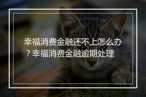幸福消费金融还不上怎么办？幸福消费金融逾期处理