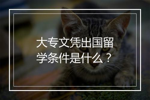 大专文凭出国留学条件是什么？