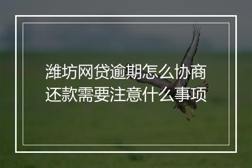 潍坊网贷逾期怎么协商还款需要注意什么事项